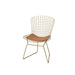 Achellia Side Chair (2Pc) - 96849 - In Stock Furniture