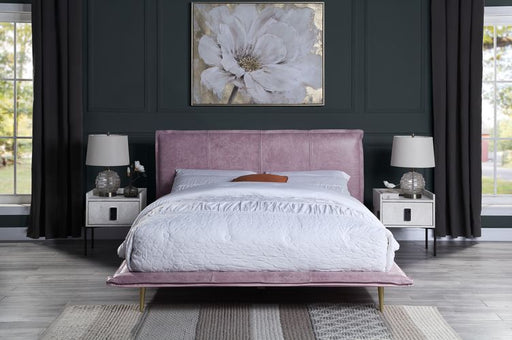 Metis Queen Bed - BD00561Q - In Stock Furniture