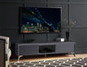 Raceloma TV Stand - 91996 - In Stock Furniture