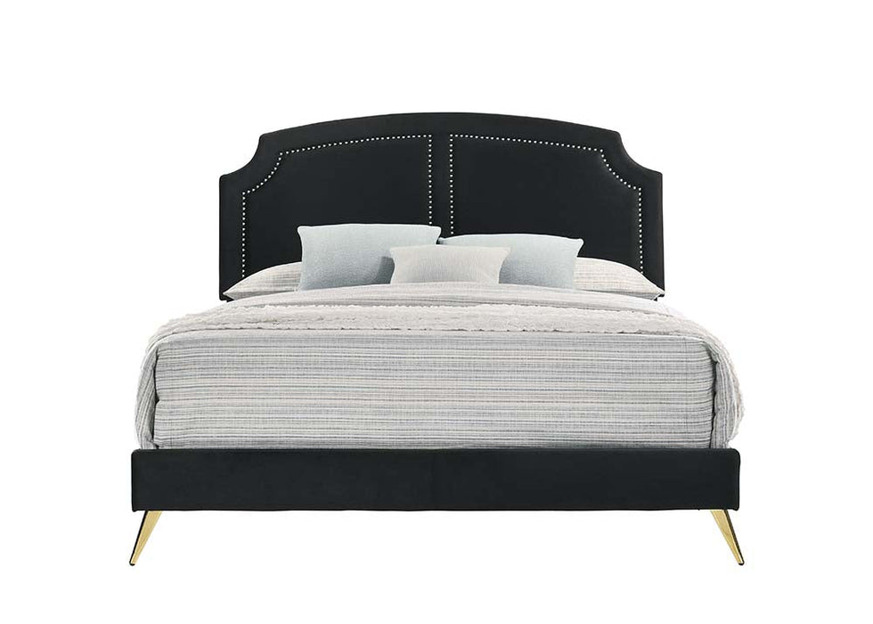 Zeena Queen Bed - BD01176Q - In Stock Furniture